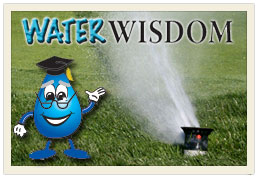 Navigate to Water Wisdom